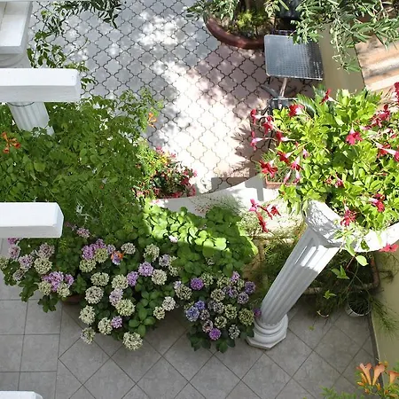 Апартаменты Two Olive Trees