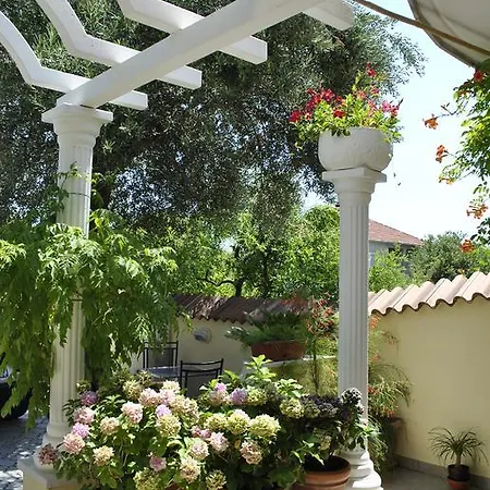 Two Olive Trees Апартаменты Оребич