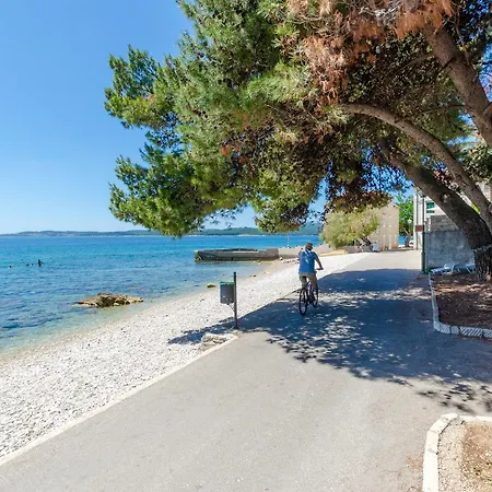 Two Olive Trees Оребич