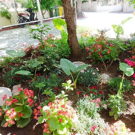 Two Olive Trees Апартаменты Оребич