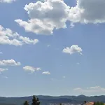 Two Olive Trees * Orebić