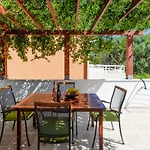 Two Olive Trees