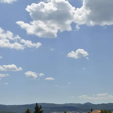 Two Olive Trees * Orebić