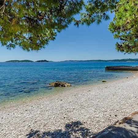 Two Olive Trees Orebić