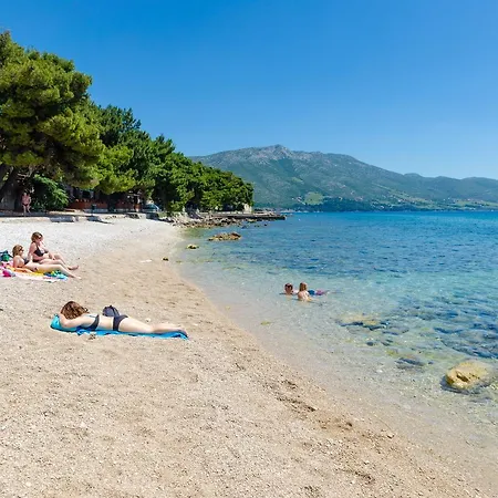 Two Olive Trees Orebić