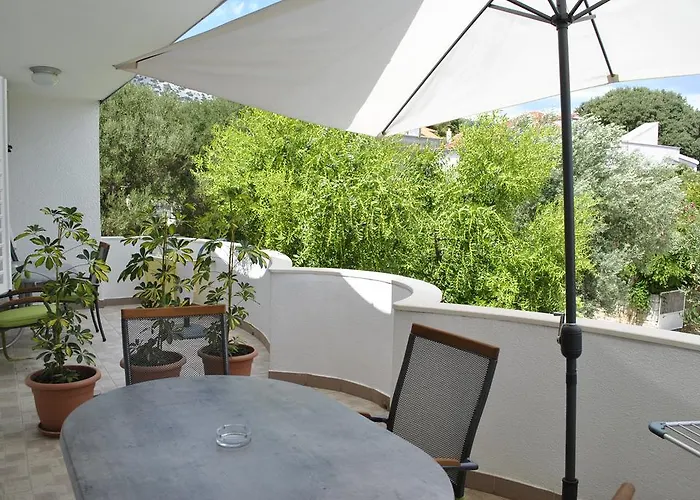 Two Olive Trees 오레비츠