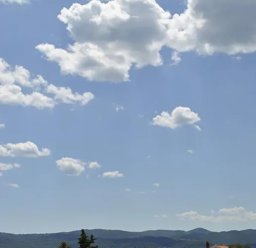 Two Olive Trees * 오레비츠