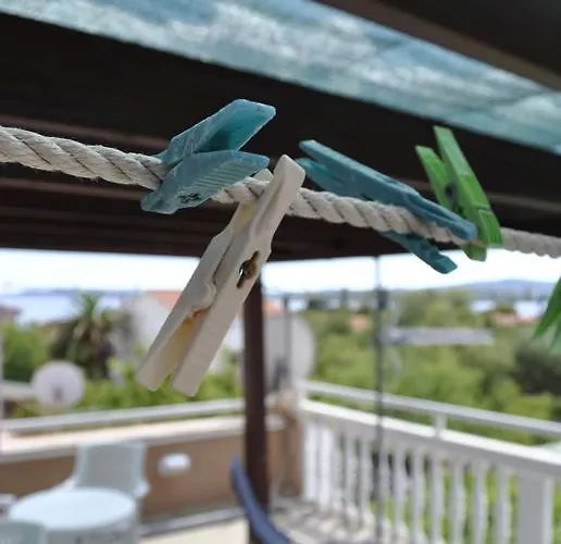 Two Olive Trees * 오레비츠