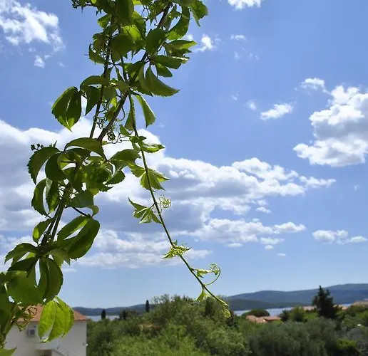 아파트 Two Olive Trees *