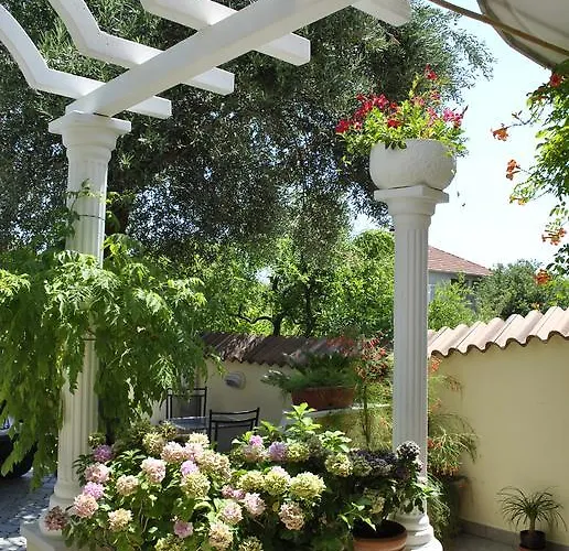 Two Olive Trees 아파트 오레비츠