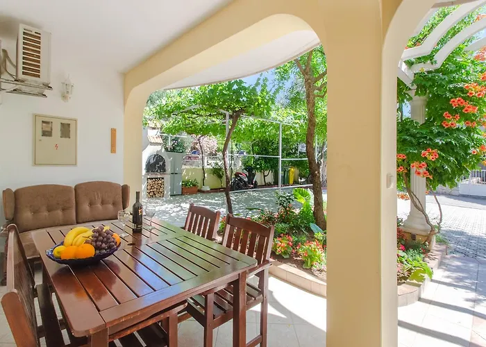 Two Olive Trees * 오레비츠