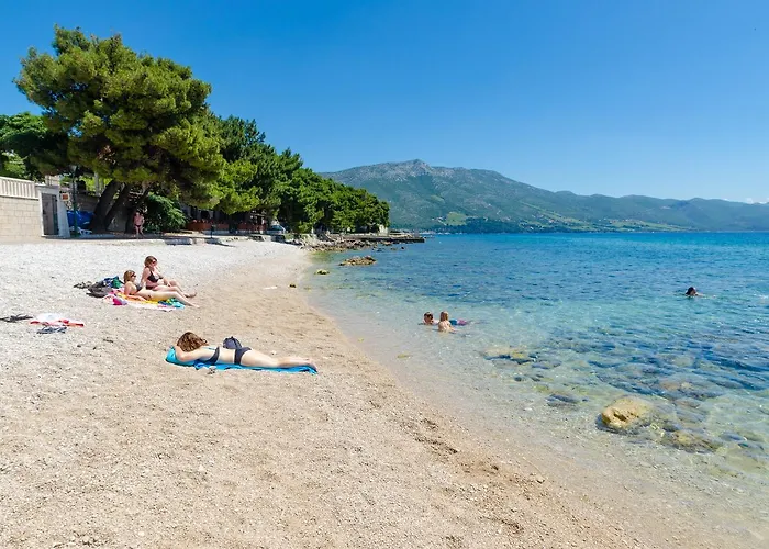 Two Olive Trees 오레비츠