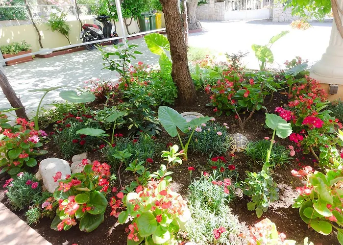 Two Olive Trees 아파트 오레비츠