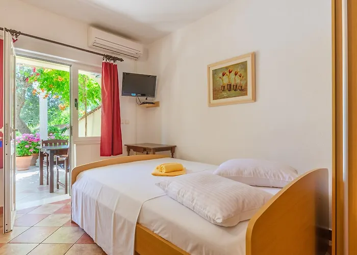 Two Olive Trees 오레비츠